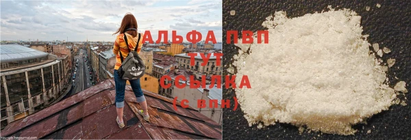 таблы Иннополис