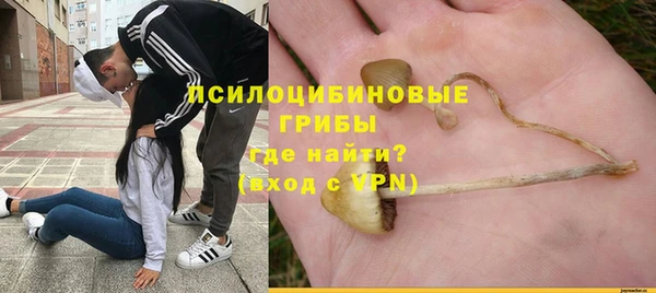 марихуана Инта