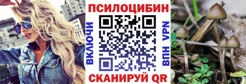 маркетплейс какой сайт  Дудинка  Псилоцибиновые грибы Psilocybine cubensis 